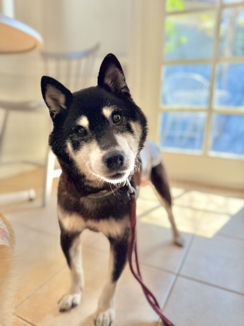 Jax